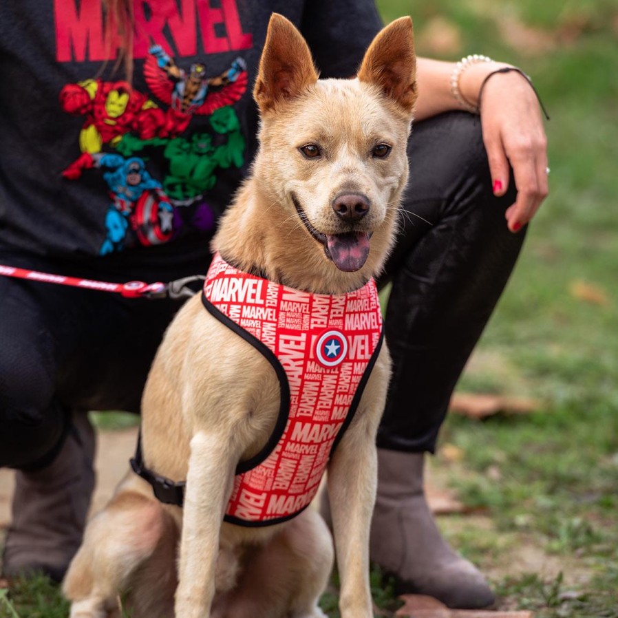 Cerdá Arnes Para Perros M/L Marvel Wholesale